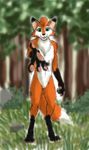  anthro black_nose breasts canine chest_tuft female flat_chested forest fox gloves_(marking) green_eyes inviting mammal markings navel nude pussy seductive socks_(marking) tree tuft 