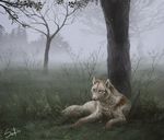  ambiguous_gender brown_fur canine day detailed_background feral fog fur grass lying mammal outside pale_eyes pink_nose safiru solo tree white_fur wolf 