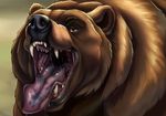  2017 ambiguous_gender bear black_nose brown_eyes brown_fur bust_portrait digital_media_(artwork) eyebrows fangs feral front_view fur gaping_mouth grizzly_bear ifus lips looking_at_viewer mammal mouth_shot pink_tongue portrait saliva signature solo teeth tongue tongue_out 