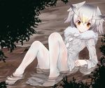  blush brown_eyes buttons coat fur_collar fur_trim grey_hair hair_between_eyes head_wings kemono_friends long_sleeves looking_at_viewer multicolored_hair no_shoes noa_(nagareboshi) northern_white-faced_owl_(kemono_friends) pantyhose partially_submerged river see-through short_hair solo water wet wet_clothes white_hair white_legwear 