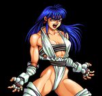  bangs blue_hair brandish_(video_game) brandish_3 elbow_pads falcom fighting_stance knee_pads leotard long_hair muscle muscular_female narrow_waist pixel_art screaming studded_gloves umber 