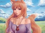  animal_ears brown_hair cloud cloudy_sky day field forest grass grasslands highres holo long_hair looking_at_viewer miura-n315 mountain nature red_eyes sky solo spice_and_wolf tail tree wolf_ears 