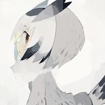  :o bird_tail blush brown_eyes coat feathers from_side fur_collar head_wings kemono_friends northern_white-faced_owl_(kemono_friends) open_mouth paprika_shikiso simple_background solo upper_body white_background 