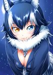  animal_ears between_breasts black_hair blue_eyes blush breasts cleavage fang fang_out full_moon fur_collar grey_wolf_(kemono_friends) heterochromia highres kemono_friends large_breasts long_hair long_sleeves looking_at_viewer moon multicolored_hair necktie necktie_between_breasts sazanami_tarou skirt solo two-tone_hair wolf_ears yellow_eyes 