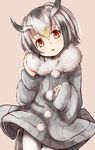  animal_ears baram blush brown_eyes brown_hair buttons coat commentary_request eyebrows_visible_through_hair fur_collar fur_trim grey_hair hair_between_eyes head_tilt head_wings kemono_friends long_sleeves looking_at_viewer multicolored_hair northern_white-faced_owl_(kemono_friends) pantyhose short_hair solo white_hair wings 