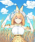  animal_ears blonde_hair borrowed_garments bow breasts closed_eyes cloud commentary day elbow_gloves eyebrows_visible_through_hair gloves grin hat highres kemono_friends large_breasts outdoors serval_(kemono_friends) serval_ears serval_print short_hair sky smile solo tunamayochan 