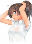  antenna_hair armpit_peek armpits arms_up bangs blue_eyes breasts breath brown_hair collared_shirt ganaha_hibiki hair_between_eyes idolmaster idolmaster_(classic) large_breasts looking_at_viewer open_mouth ponytail see-through shirt short_sleeves simple_background solo sweat tan tanline tying_hair upper_body white_background white_shirt yamayoshi_tanosuke 