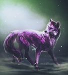  ambiguous_gender black_fur canine feral fur mammal paws purple_eyes purple_fur safiru solo standing wolf 