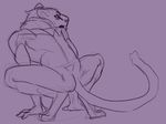  anthro crouching feline fur lion male mammal muscular nude openlor purple_theme sketch solo 