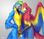  2017 animal_genitalia anthro avian balls beak bird black_feathers blue_eyes blue_feathers duo english_text eye_contact ezcett feathered_wings feathers green_hair grey_background hair hand_on_penis humanoid_penis macaw male male/male nude parrot penis red_feathers sheath simple_background smile text wings yellow_feathers 