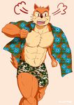  abs angry anthro brown_eyes camo canine chest_tuft clothing male mammal moomae_(artist) muscular muscular_male nipples shirt shorts tuft wolf wuffle 