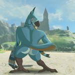  2017 absurd_res anthro avian beak blue_feathers breath_of_the_wild butt feather_hair feathers hi_res kass_(zelda) leaning looking_at_viewer looking_back male nintendo nude outside phinja rape_face rito smile smirk solo standing stare tail_feathers talons the_legend_of_zelda video_games winged_arms wings 