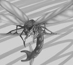  animal_genitalia animal_penis arthropod dragon_fly erection feral grey_background insect insect_wings male masturbation membranous_wings monochrome nintendo nude penis phinja pok&eacute;mon simple_background solo tongue tongue_out video_games wings yanmega 
