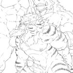  abs anal anthro balls blush cum erection feline male male/male mammal monochrome muscular nude orgasm pecs penis simple_background tiger urakata5x white_background 