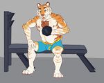  anthro armpits body_hair briefs bulge chest_hair clothing exercise feline koorivlf male mammal musclegut muscular nipples sitting smile solo sweat tiger underwear weightlifting workout 