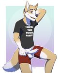 anthro balls bryce_(lonewolfhowling) canine clothed clothing erection fur gloves_(marking) grin hair male mammal markings partially_retracted_foreskin penis simple_background smile solo standing tan_fur uncut underwear underwear_down white_fur wolf zawmg 
