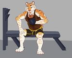  anthro armpits body_hair briefs bulge chest_hair clothed clothing exercise feline koorivlf male mammal musclegut muscular sitting smile solo sweat tiger underwear weightlifting workout 