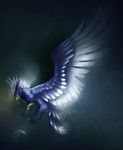 ambiguous_gender avian beak blue_feathers feathered_wings feathers feral gryphon nude paws safiru vertigo wings yellow_beak 
