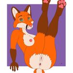  anthro anus areola barefoot big_breasts breasts brown_fur butt canine female fox fur mad_raccoon mammal nails nipples nude orange_fur pawpads paws presenting presenting_pussy pussy red_fox solo white_fur 