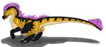  2017 anus black_scale brown_scales butt claws crouching dinosaur female feral fur green_eyes hair humanoid_pussy looking_at_viewer lykenzealot nude puffy_anus purple_fur purple_hair pussy raptor scales shelly_the_raptor side_view simple_background smile solo theropod toe_claws tongue tongue_out white_background 