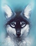  ambiguous_gender black_fur black_lips canine feral fur headshot inner_ear_fluff looking_at_viewer mammal safiru solo white_fur wolf 