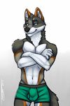  2017 anthro black_fur blue_eyes boxerbriefs brown_fur bulge canine clothing crossed_arms fur grey_fur male mammal navel shorts simple_background smile solo standing tsaiwolf underwear white_background white_fur wolf 