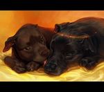  black_bars black_fur black_nose brown_eyes brown_fur brown_nose canine digital_media_(artwork) dog duo feral fur lying mammal paws tamberella 