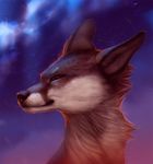  ambiguous_gender black_lips black_nose brown_eyes brown_fur canine digital_media_(artwork) feral fox fur mammal night outside sky solo star starry_sky tamberella 