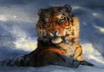  ambiguous_gender brown_eyes digital_media_(artwork) feline feral fur mammal orange_fur pink_nose snow solo striped_fur stripes tamberella tiger whiskers 