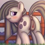  2017 anatomically_correct anatomically_correct_pussy animal_genitalia animal_pussy anus atmosseven biting_lip blush butt clitoris cutie_mark dock earth_pony equine equine_pussy female fence feral friendship_is_magic hair hi_res horse mammal marble_pie_(mlp) my_little_pony outside pony pussy solo 