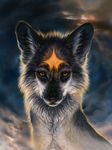  canine day digital_media_(artwork) feral fur grey_fur looking_at_viewer mammal sky solo tamberella wolf yellow_eyes 
