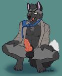  canine crouching erection fox invalid_tag knot male mammal penis silver_fox 