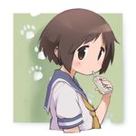  blush brown_eyes brown_hair drink drinking_straw eyebrows_visible_through_hair green_background hasegawa_fumi juice_box looking_at_viewer necktie okayparium paw_print school_uniform school_uniform_(yuyushiki) serafuku short_hair solo yellow_neckwear yuyushiki 