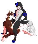  anthro armpits balls canine duo erection fellatio hand_on_head male male/male mammal nude oral sex smile teil tongue tongue_out 