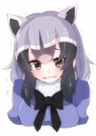  animal_ears black_eyes black_hair black_neckwear black_ribbon blue_shirt blush common_raccoon_(kemono_friends) cropped_torso crying d: dot_nose enelis extra_ears eyebrows eyelashes fangs fur_collar gradient_hair grey_hair jitome jpeg_artifacts kemono_friends looking_at_viewer multicolored_hair neck_ribbon open_mouth puffy_short_sleeves puffy_sleeves raccoon_ears ribbon sad sanpaku shiny shiny_clothes shiny_hair shiny_skin shirt short_hair short_sleeves sidelocks simple_background solo sweat tears thick_eyebrows trembling upper_body wavy_mouth white_background white_hair 