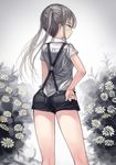  back grey_hair hand_on_hip highres long_hair original shorts solo suspenders twintails window1228 