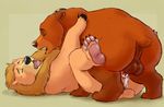  2017 animal_genitalia animal_pussy backsack balls bear brother_bear brown_fur cum cum_in_pussy cum_inside duo eyes_closed female feral feral_on_feral fur grizzly_bear kenai legs_up lying male male/female male_penetrating mammal marjani missionary_position on_back open_mouth penetration penis pussy sex simple_background tan_fur teeth vaginal vaginal_penetration yellow_background 