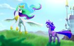  day detailed_background duo equine feathered_wings feathers female feral flying friendship_is_magic fur grass hair hooves horn mammal multicolored_hair my_little_pony nadnerbd outside princess_celestia_(mlp) purple_eyes purple_fur sky smile standing twilight_sparkle_(mlp) unicorn white_feathers winged_unicorn wings 