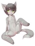  2017 anthro blush breasts canine chest_tuft clitoris crunchobar cub embarrassed female flat_chested fur green_eyes grey_fur mammal open_mouth pawpads presenting presenting_pussy pussy simple_background spread_legs spreading tuft white_background young 