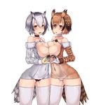  bare_shoulders blush breast_press breasts breasts_outside brown_eyes brown_hair cameltoe choker collarbone covered_navel dress eurasian_eagle_owl_(kemono_friends) grey_hair hair_between_eyes head_wings heart heart_hands heart_hands_duo highres kemono_friends long_sleeves looking_at_viewer medium_breasts multicolored_hair multiple_girls natori_youkai northern_white-faced_owl_(kemono_friends) open_mouth short_dress short_hair smile symmetrical_docking tail tail_feathers thighhighs white_background white_hair white_legwear wide_hips 