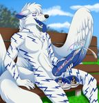  angel_dragon anthro canine cock_vore dog dragon mammal park penis silvergrin tongue vore wolf zetsin 