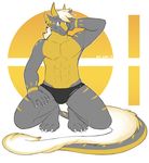  anthro bulge clothed clothing hair horn kneeling male muscular see-saw sergal smile solo underwear 