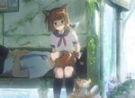  1girl :&lt; animal animal_ears animal_on_shoulder bad_id bad_pixiv_id bench bird bird_on_shoulder black_legwear bob_cut brother_and_sister bug butterfly cat cat_ears flower hitoya_(kitani) insect kneehighs lap_pillow original purple_flower purple_rose rain rose school_uniform serafuku siblings socks 