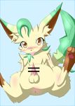  kiraru leafeon nintendo pokemon tagme 