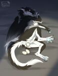  anus black_body black_fur blue_anus blue_horn blue_pussy blush bodily_fluids claws dragon egg ender_(endermoonfur) endermoonfur eyes_closed feathered_wings feathers female feral folded_wings fur furred_dragon furred_scalie genital_fluids genitals hi_res horn labor_pains multicolored_body multicolored_fur mythological_creature mythological_scalie mythology oviposition pregnant pregnant_female pregnant_feral pussy scalie solo spread_legs spreading vaginal vaginal_fluids white_body white_fur wings 