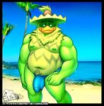  anthro avian beach bird bulge clothing elfein hat looking_at_viewer ludicolo male musclegut nintendo nipples penis_outline pok&eacute;mon seaside solo speedo standing swimsuit video_games wet 