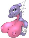  breasts cynder dragon female seii3 spyro_the_dragon video_games 