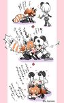  2girls animal_ears bear_girl black_gloves black_legwear dress face-to-face giant_panda_(kemono_friends) gloves heart hug kasane kemono_friends lesser_panda_(kemono_friends) multiple_girls panda_ears panda_tail petting red_hair red_panda_ears red_panda_tail school_uniform shirt short_shorts shorts striped striped_shirt striped_tail tail translation_request twig twitter_username white_hair 