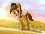  brown_hair cutie_mark equine fan_character feral hair hat hooves mammal my_little_pony open_mouth pale_eyes pucksterv smile solo teeth tongue 