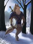  2014 4_toes anthro armello armor black_nose canine detailed_background digitigrade dog forest fur grey_fur male mammal melee_weapon snow solo standing sword sythgara thane_(armello) toes tree weapon 